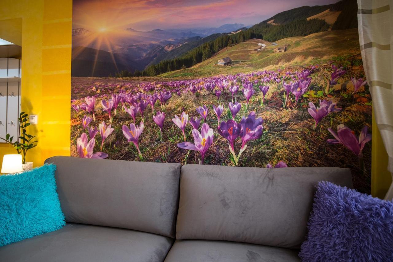 Promyk Pod Lipkami Apartzakop